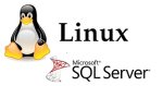 sql-server-linux